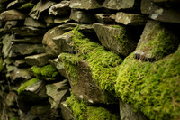 Dry stone wall