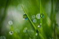 Upon Reflection