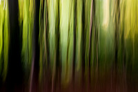 Woodland Art 3