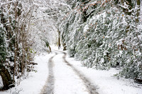 Winter in Cryers Hill